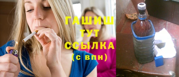 индика Бородино