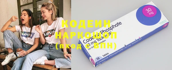 индика Бородино