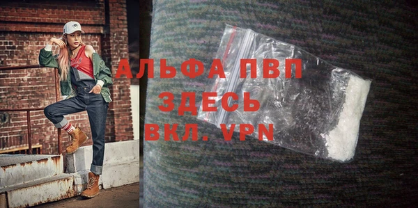 индика Бородино