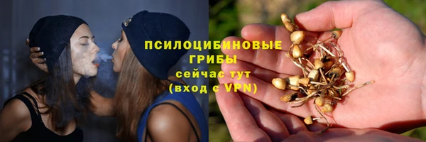 apvp Верхний Тагил