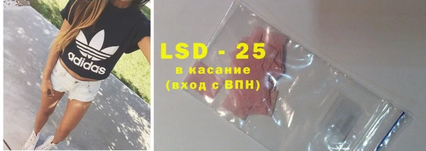 индика Бородино