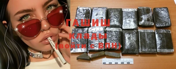 индика Бородино