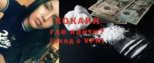 индика Бородино