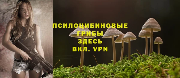 индика Бородино