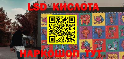 стаф Лесосибирск