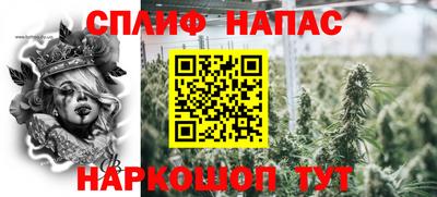 стаф Лесосибирск
