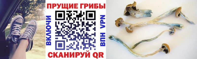 Псилоцибиновые грибы MAGIC MUSHROOMS  наркотики  Корсаков 
