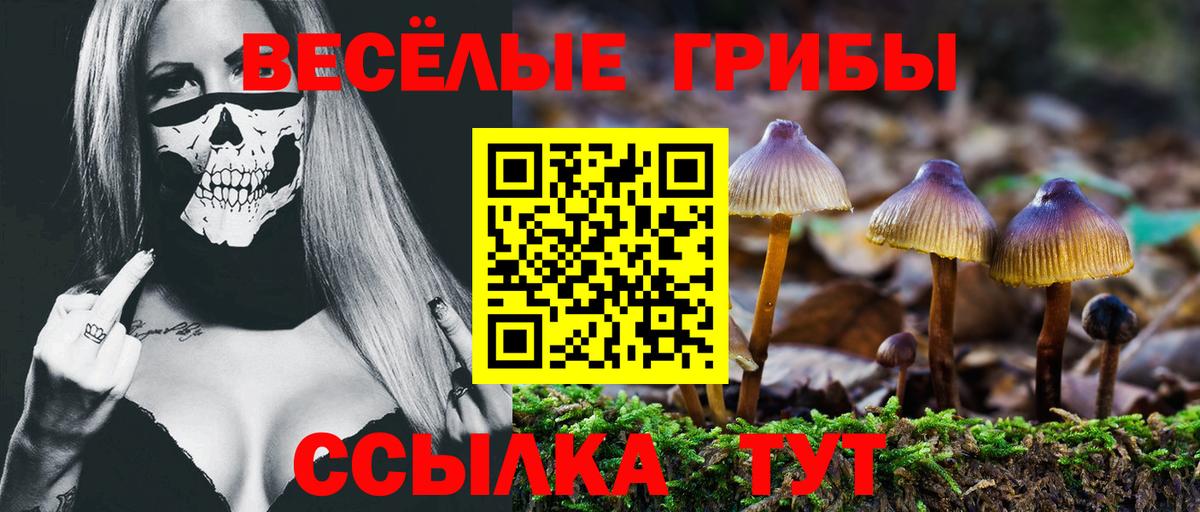 Вейп ТГК  Меф  MDMA  ГАШ  Корсаков  КОКАИН  LSD-25  Канабис  Мефедрон   ГАШ  Вход с VPN 