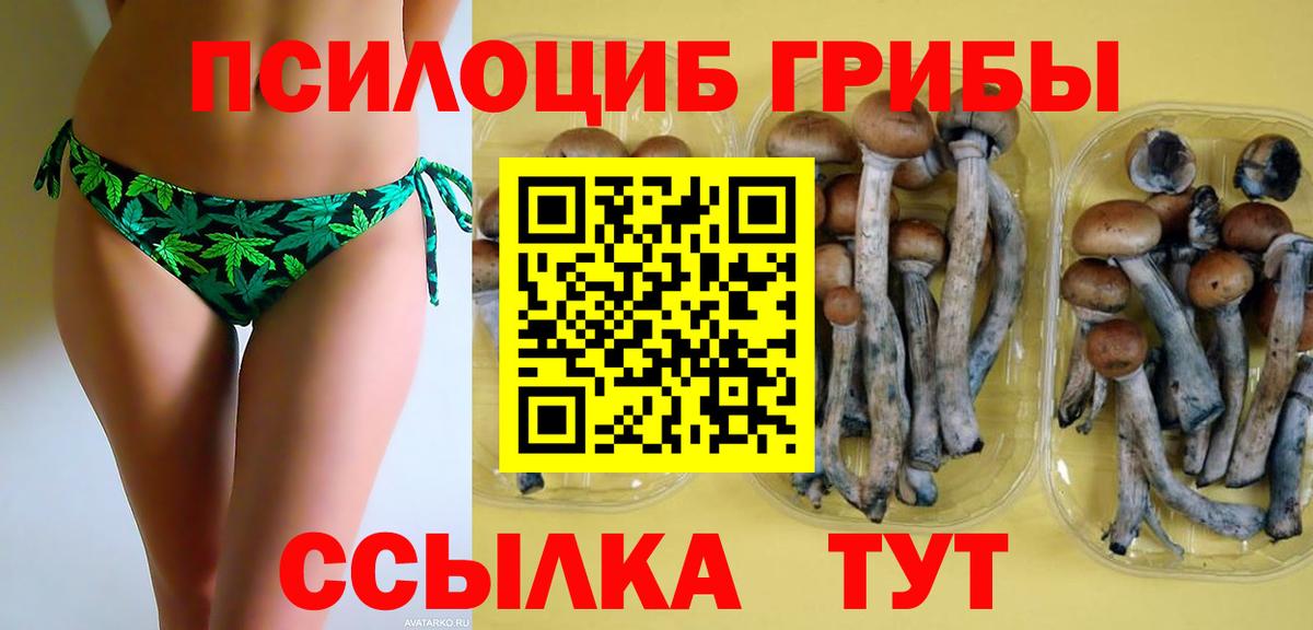 Галлюциногенные грибы Magic Shrooms Корсаков